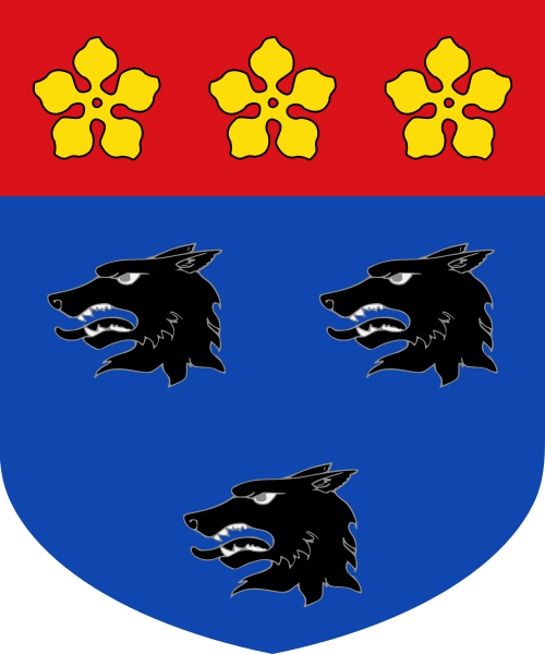 Shield image