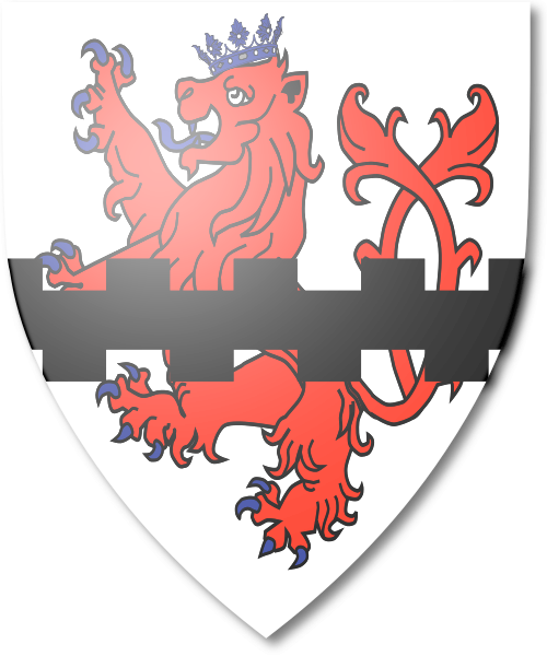 Shield image