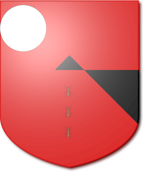 Shield image