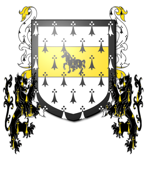 Shield image