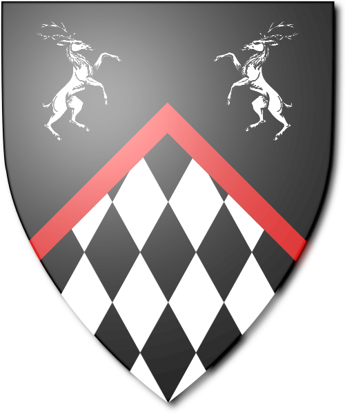 Shield image