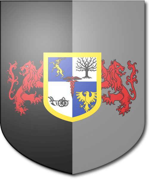 Shield image