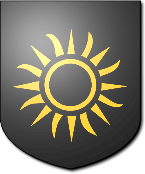 Shield image