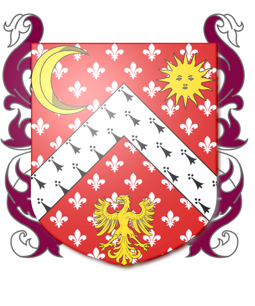 Shield image