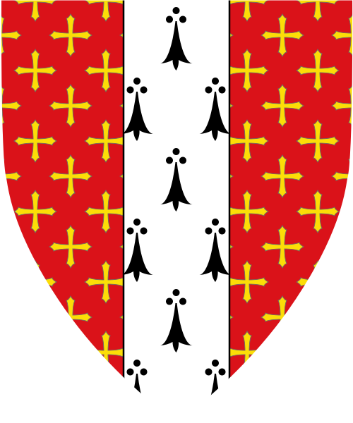 Shield image