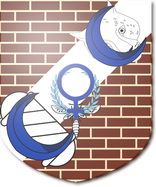 Shield image