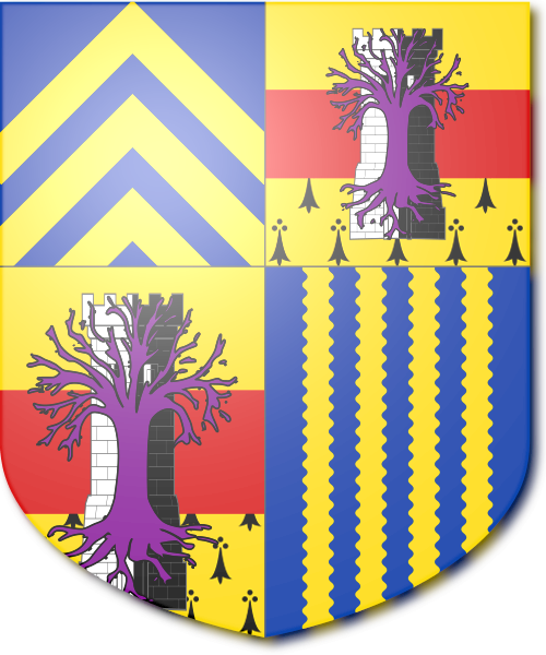 Shield image