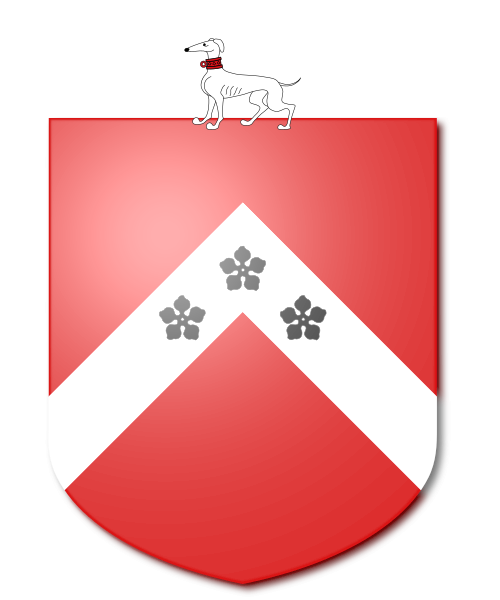 Shield image