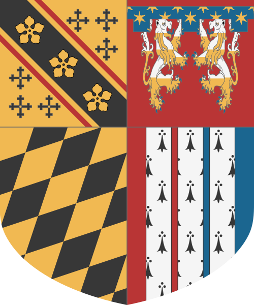 Shield image