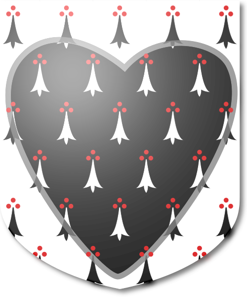 Shield image