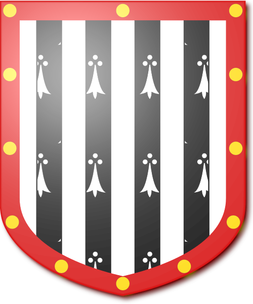 Shield image