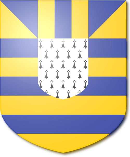 Shield image