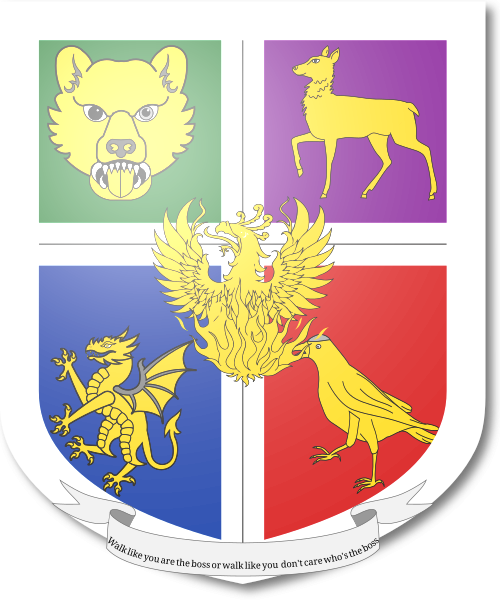 Shield image