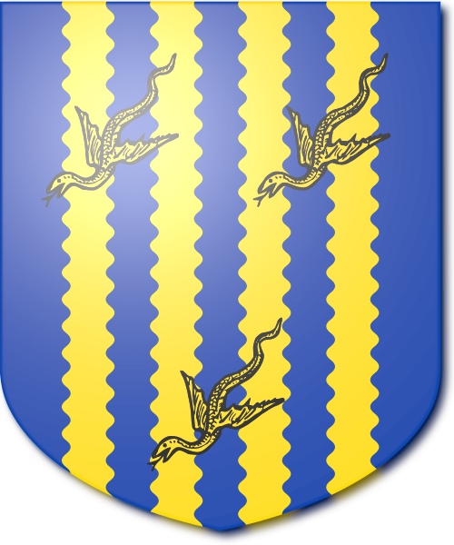 Shield image