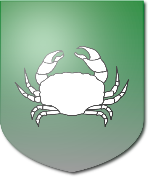 Shield image