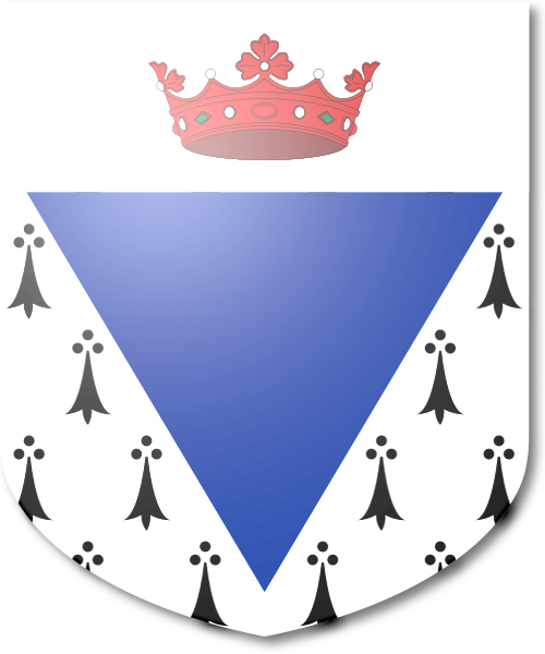 Shield image