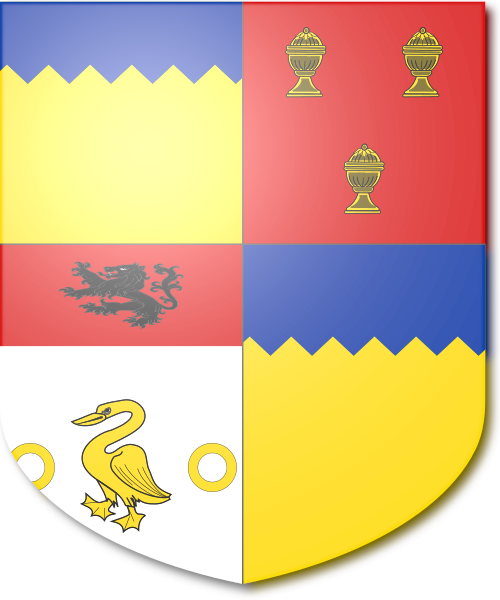 Shield image