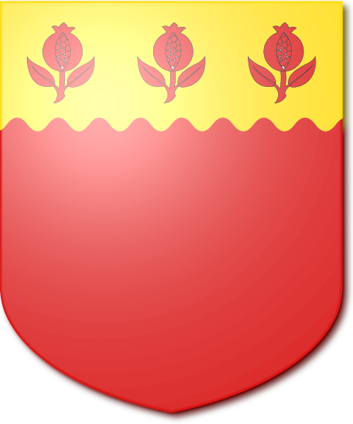 Shield image