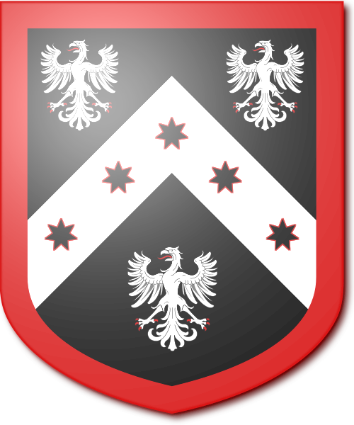 Shield image