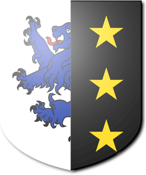 Shield image