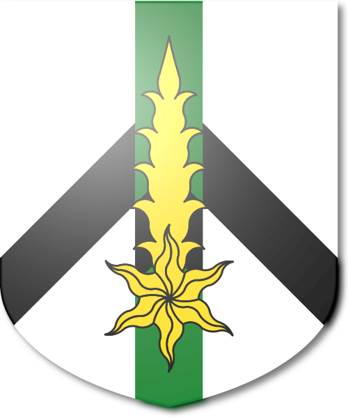 Shield image