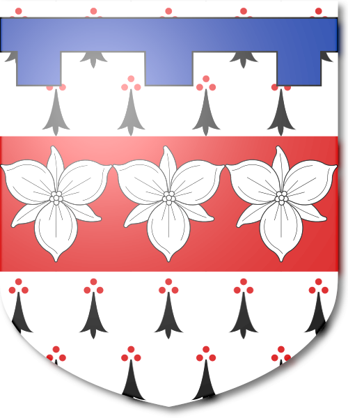 Shield image