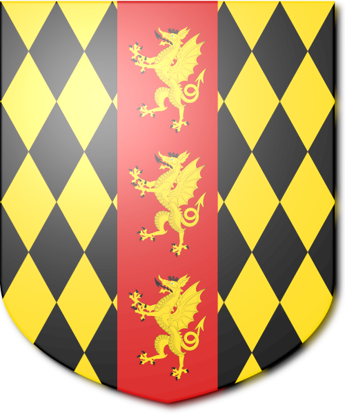 Shield image