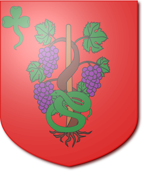 Shield image