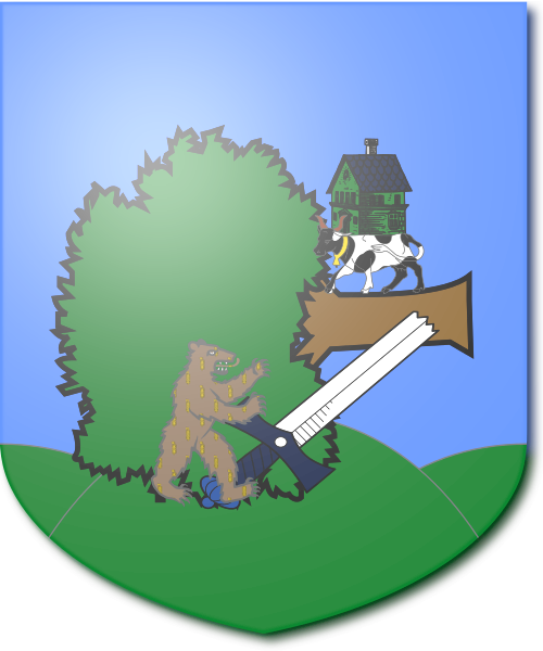 Shield image