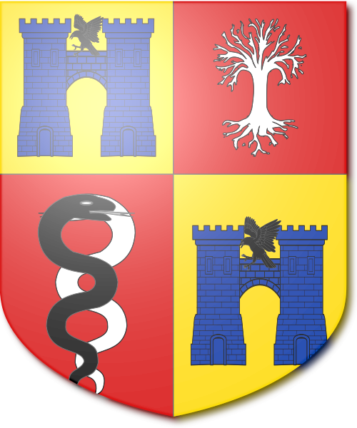 Shield image