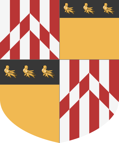 Shield image