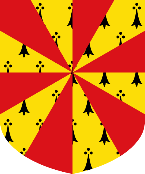 Shield image