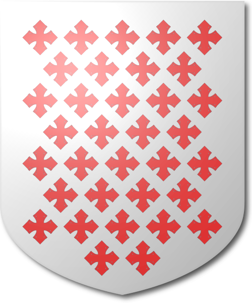 Shield image