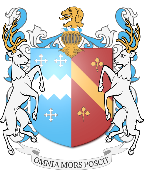 Shield image