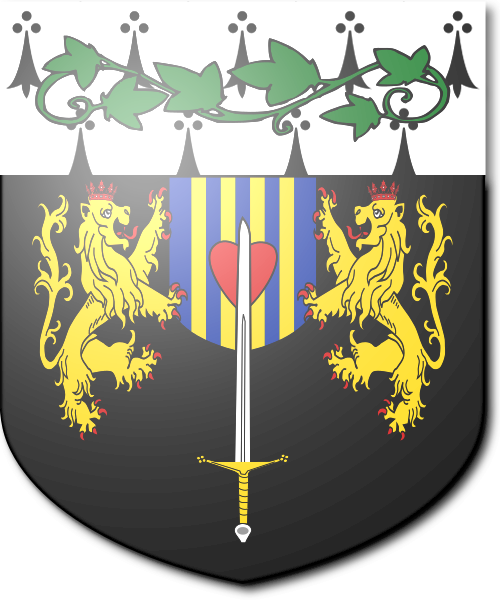 Shield image