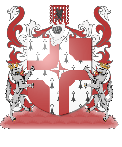 Shield image