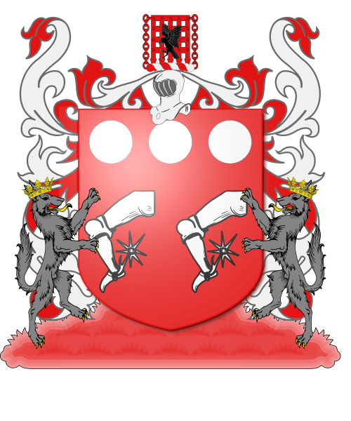 Shield image