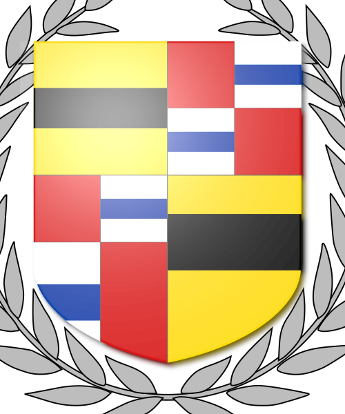 Shield image