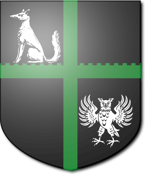 Shield image