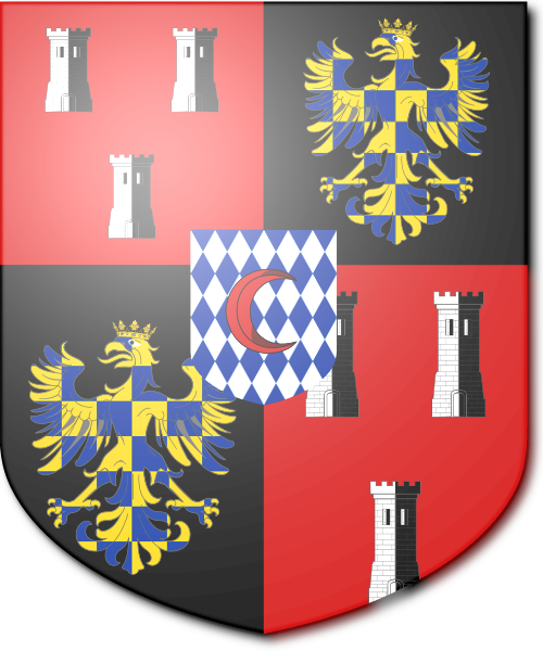 Shield image