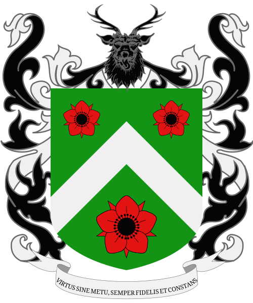 Shield image