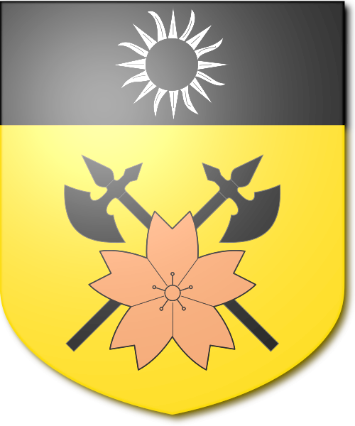 Shield image