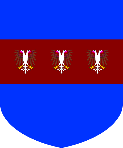 Shield image