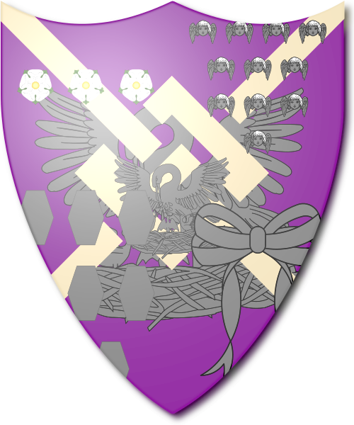 Shield image