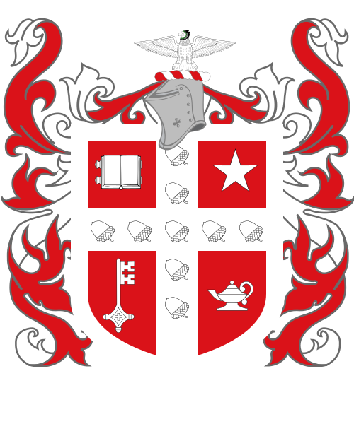 Shield image