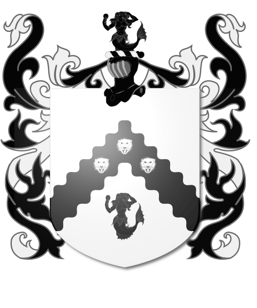 Shield image