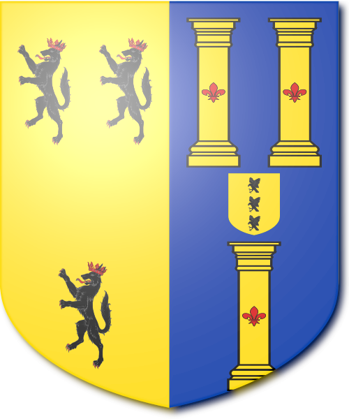 Shield image