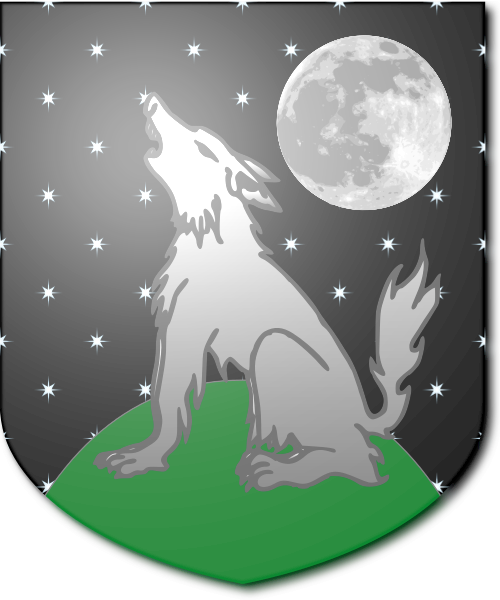 Shield image