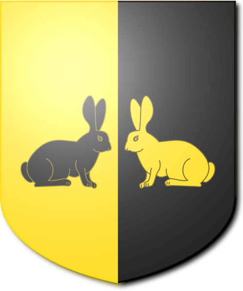 Shield image