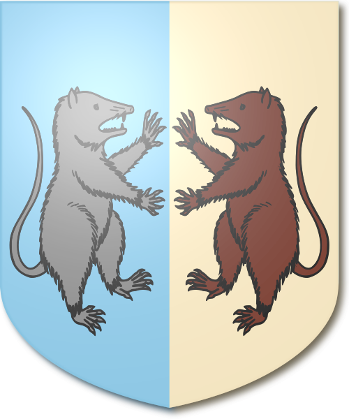 Shield image